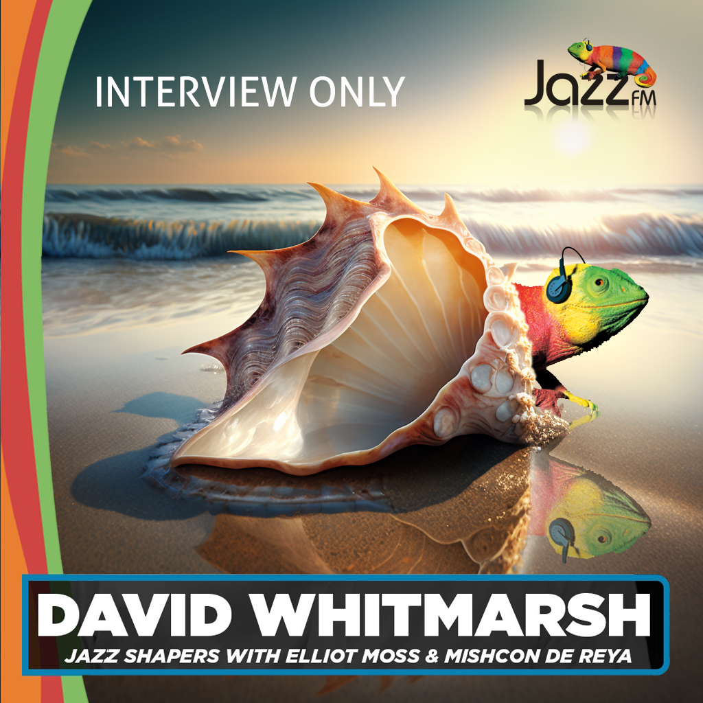 sun_shining_through_a_conch_shell