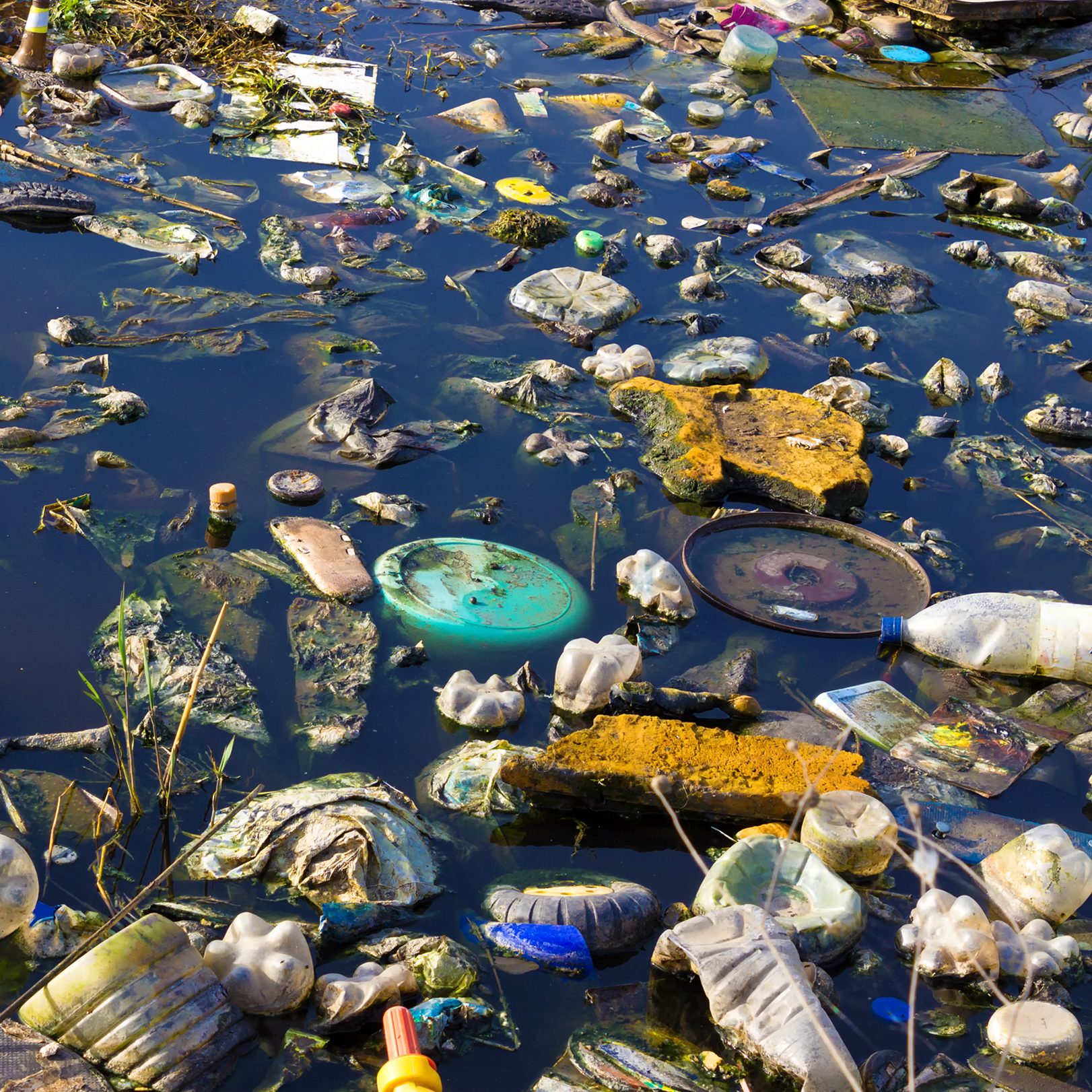 lots of waste plastic in water