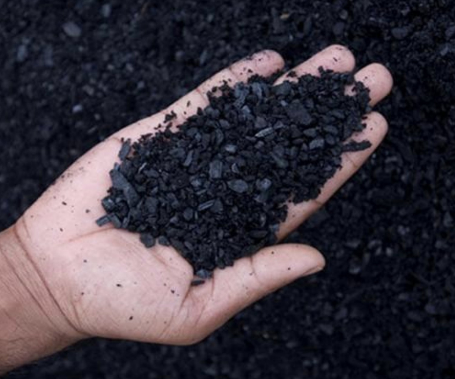 a handful of carbon char